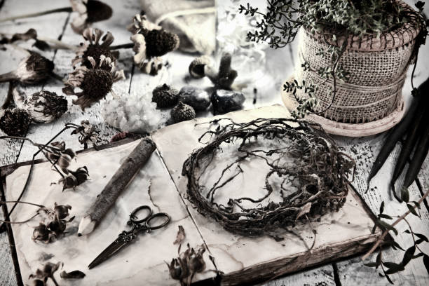 istock Old diary book with dried seeds, pencil and roots on table 1080598680