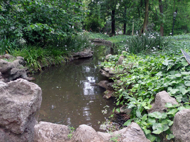 istock A stream in my garden 1080601198