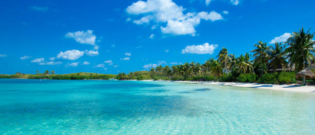 istock beach and tropical sea 1080606408