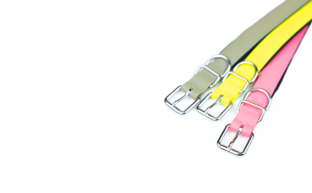 istock Pet collars isolated on white background.  Pet accessories concept 1080619082
