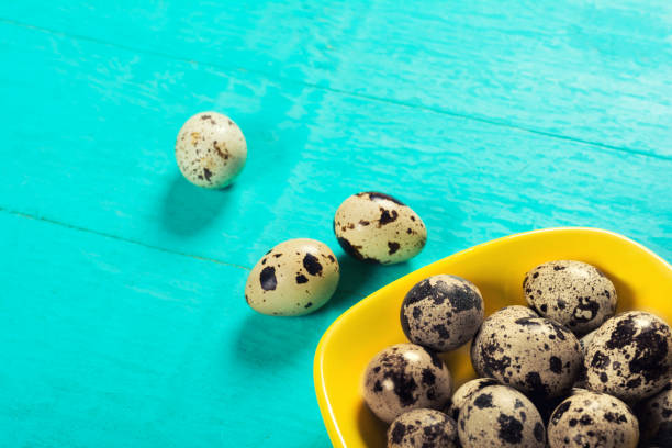 istock Quail eggs in plate on wooden background 1080626452
