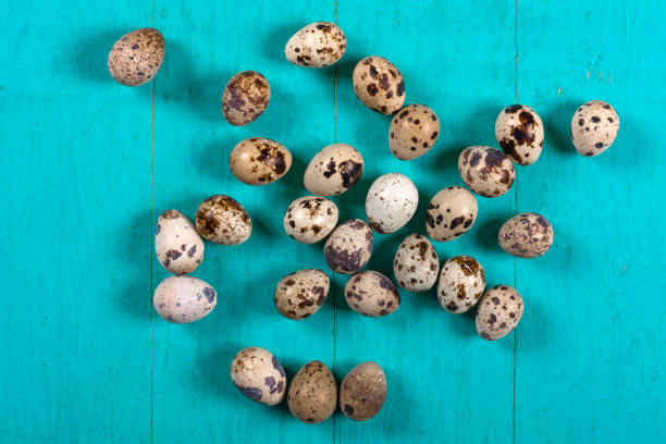 istock Quail eggs on wooden background 1080627444