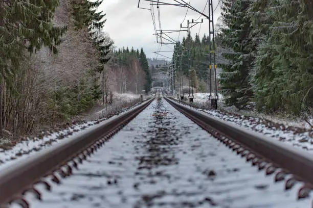 Photo of straight railroad through a swedish forest in december