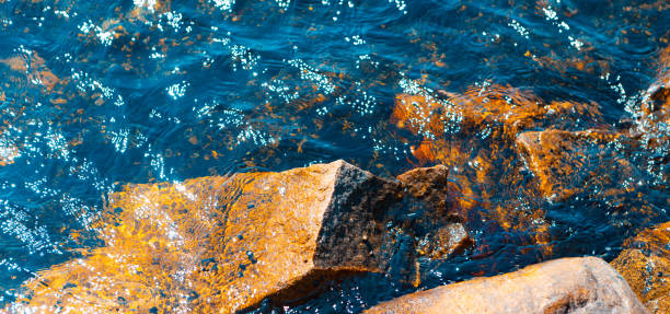 Nature, Sea, Beach - Wide image of a rocky beach