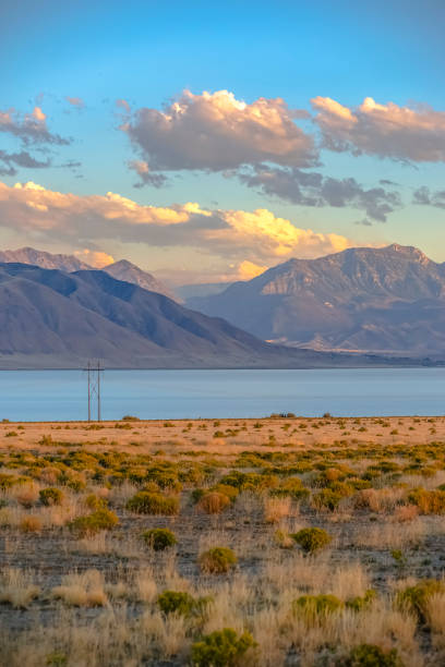 Beautiful view with mountain and sky in Lake Utah Beautiful view with mountain and sky in Lake Utah. Beautiful landscape with majestic mountain and dramatic sky in Lake Utah beyond the grassy lakeshore. The cloudy sky has a golden glow at sunset. lake utah stock pictures, royalty-free photos & images