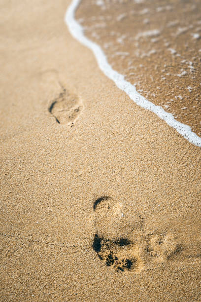 istock footprint in the sand 1080657146