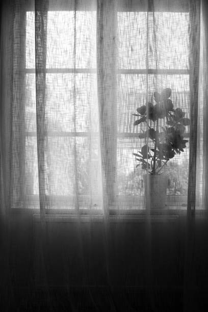 istock Window with curtain in black and white 1080669832
