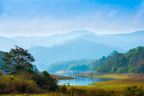 beautiful landscape at  mystical day  with mountains and lake, travel background, Periyar National Park, Kerala, India beautiful landscape at  mystical day  with mountains and lake, travel background, Periyar National Park, Kerala, India kerala south india stock pictures, royalty-free photos & images