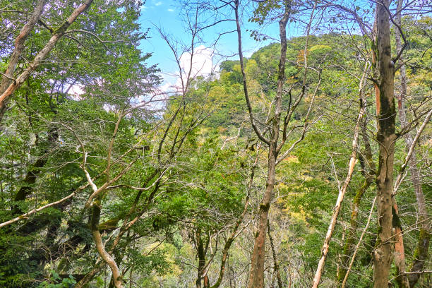 istock Journey through the Caucasus. Caucasus Mountains 1080680970