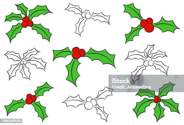 Set Of Christmas Holly Leaves Stock Illustration - Download Image Now - Autumn, Berry, Christmas