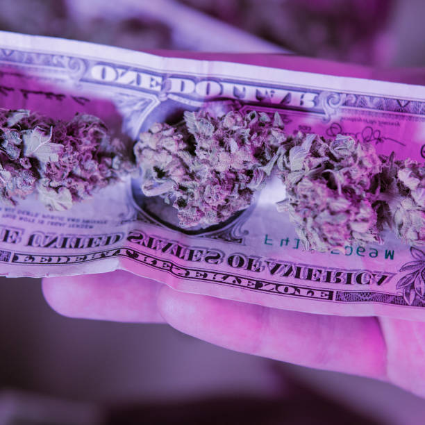 istock One Pound of Organic Cannabis 1080689834