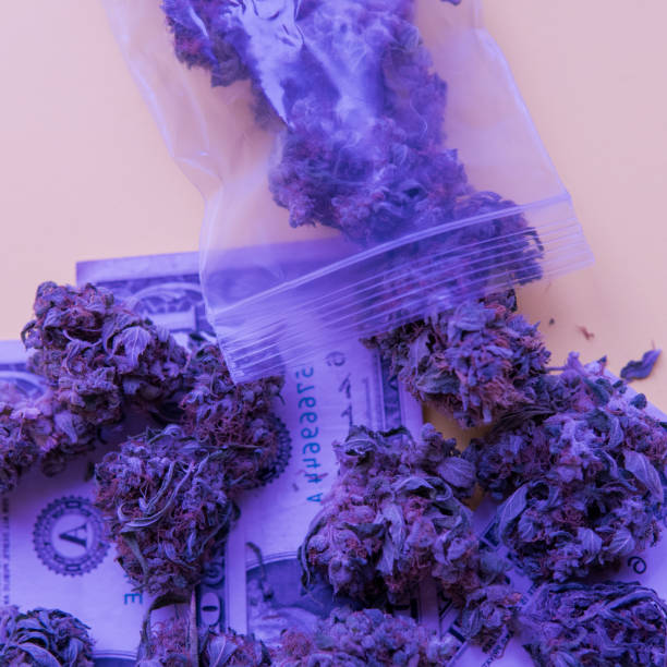 istock One Pound of Organic Cannabis 1080690112