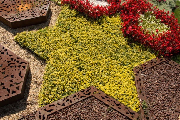 istock Yellow flowers forming a star of David on display 1080692644