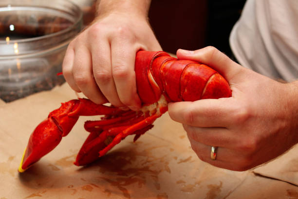 istock Cook breaks lobster for further preparation 1080696178