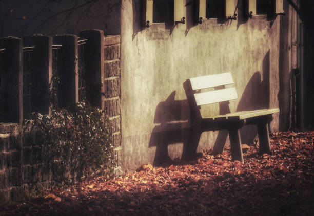 Lonely bench in autumn