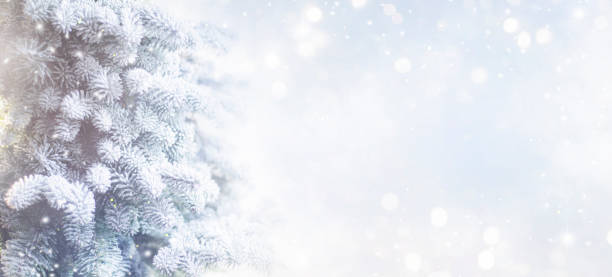 istock Holiday background with christmas tree 1080696674