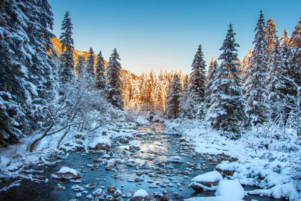 istock Winter nature landscape 1080696688