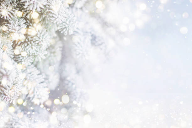 istock Holiday background with christmas tree 1080697388