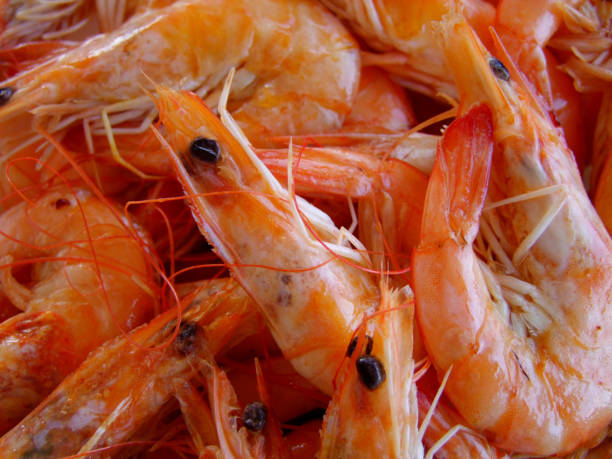 fondo de gambas rojas. ensalada de camarones - grilled shrimp flash fotografías e imágenes de stock