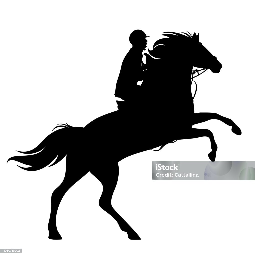 Design do logotipo da silhueta do garanhão do cavalo do cavaleiro