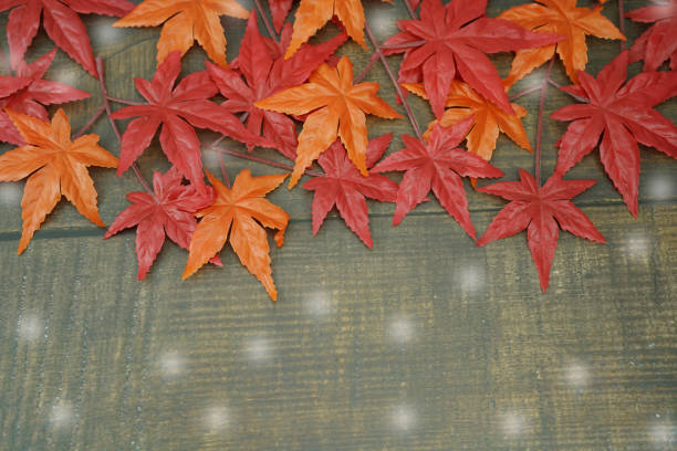 maple leaves frame on  wooden background