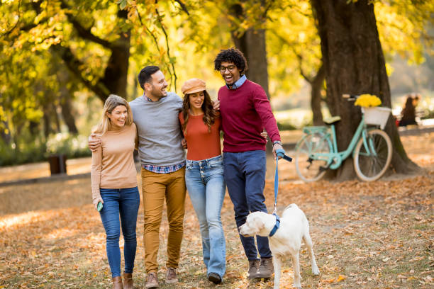 istock Multiracial people walking in the park with dog 1080747476