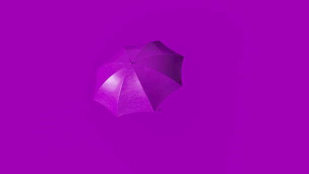 istock Purple Umbrella 1080750460