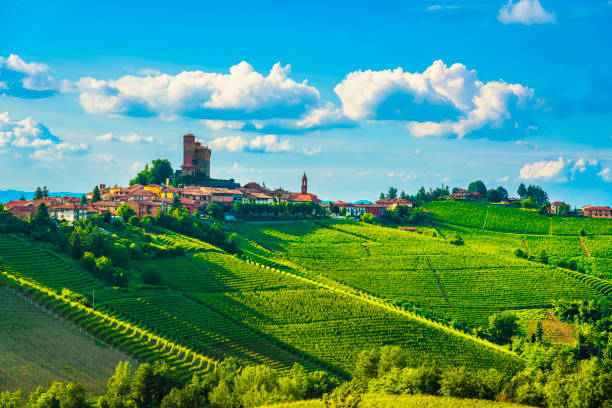 istock Langhe vineyards sunset panorama, Serralunga Alba, Piedmont, Italy Europe. 1080760708
