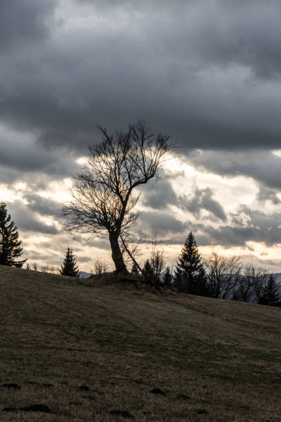 istock ate autumn scenery with meadow, trees, hills on the backgrounad and mostly cloudy sky 1080771804