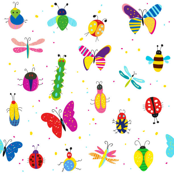 ilustracja błędów, motyli i innych owadów - snail isolated white white background stock illustrations