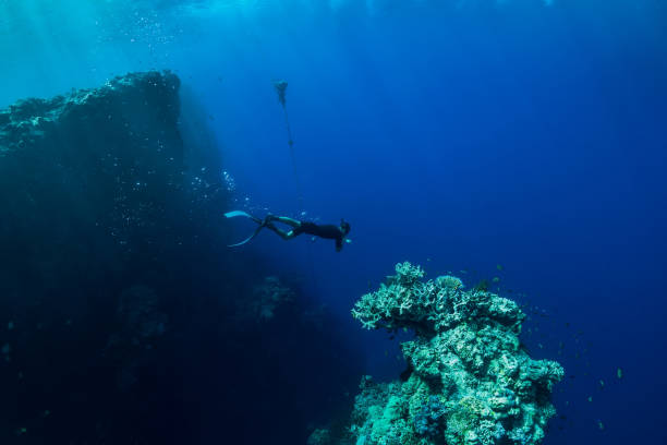istock Free diver dive in ocean, underwater view with corals and rocks 1080776202
