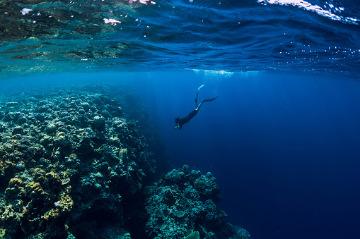 Free diver man dive in ocean, underwater view with rocks and corals