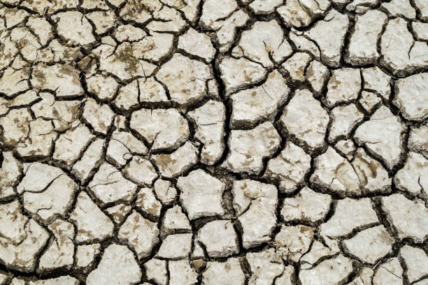 istock Drought climate change dryness in the soil 1080776884