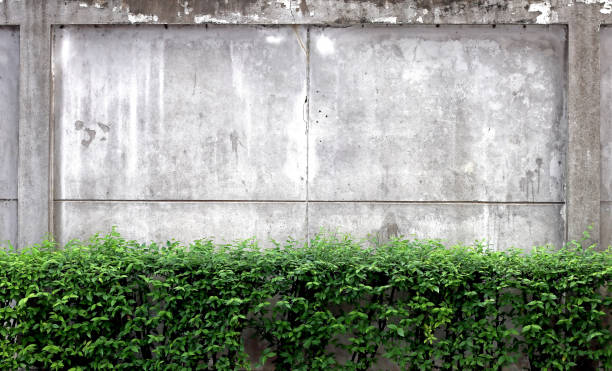 istock vintage dirty brick,stone wall texture with green tree frame background 1080776950