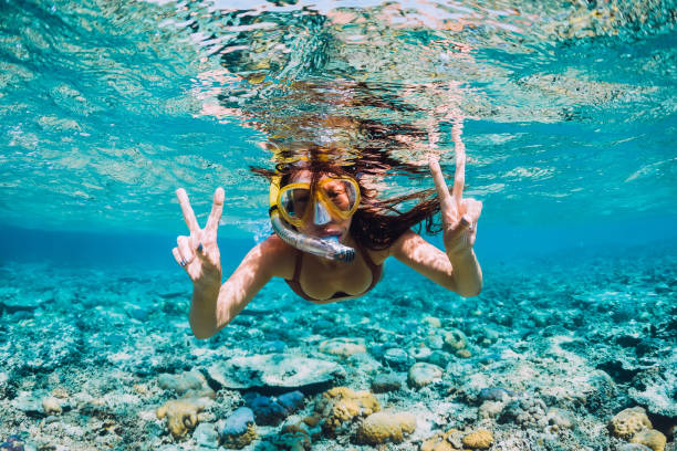 mujer joven feliz nadando bajo el agua en el océano tropical - diving equipment fotografías e imágenes de stock