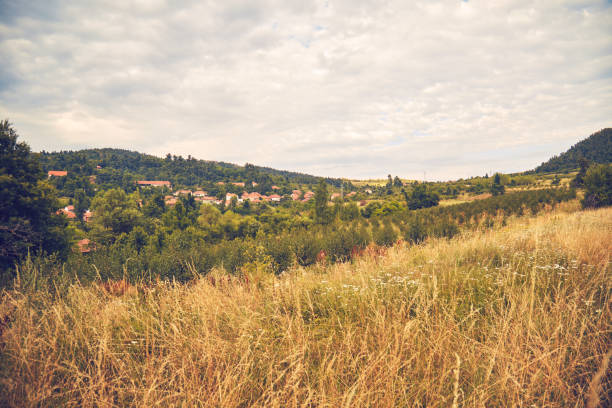 View of hilly landscape in the summertime.