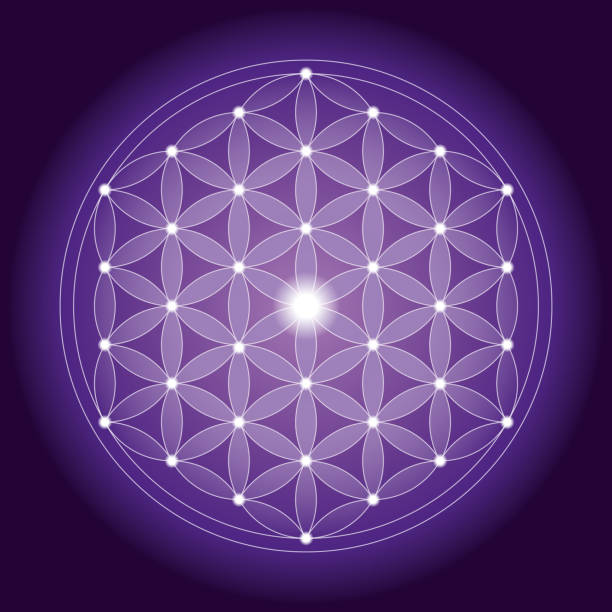 ilustrações de stock, clip art, desenhos animados e ícones de geometrical flower of life pattern with symmetrical structure - flower of life