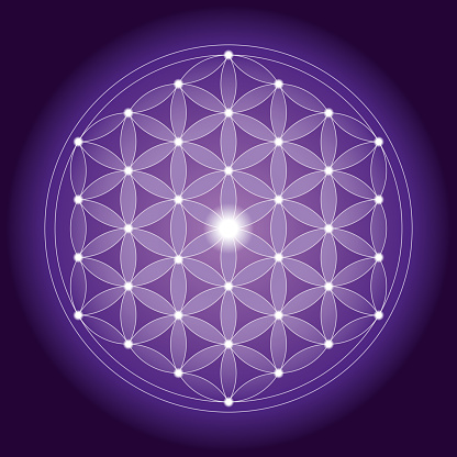 Vector Illustration of a beautiful Geometrical Flower of Life pattern with Symmetrical Structure