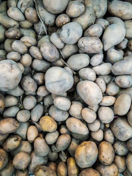 heap of potato for sale in market