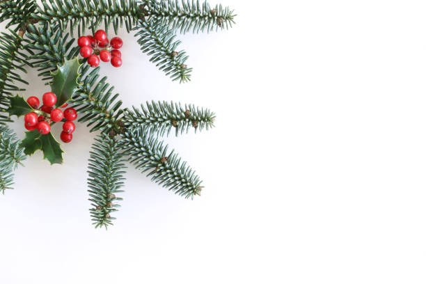 istock Christmas styled composition, decorative frame, banner. Holly tree green leaves, red berries, branches and green fir isolated on white table background. Flat lay, top view. Winter botanical pattern. 1080802110
