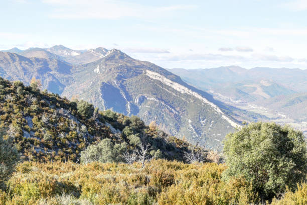pasmo górskie peña rueba otoczone zieloną jodłą i lasem sosnowym podczas słonecznego zimowego dnia w mallos de riglos, region aragonii, hiszpania - sunny day mountain mountain range winter zdjęcia i obrazy z banku zdjęć
