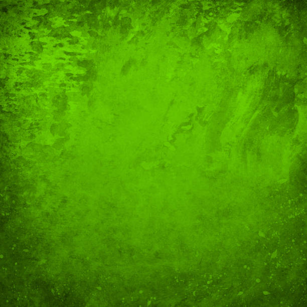 зеленый фон - 11206 стоковые фото и изображения