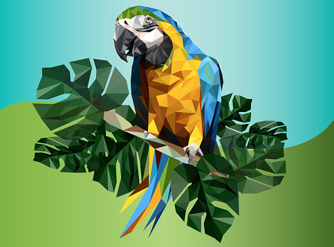 Illustration polygonal drawing of macaw bird and tropical leaf.