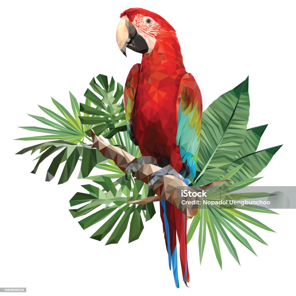 Ilustración de Dibujo Poligonal De Ilustración De Guacamaya De Ala Verde y más Vectores Libres de Derechos de Loro - iStock Ilustración de Dibujo Poligonal De Ilustración De Guacamaya De Ala Verde y más Vectores Libres de Derechos de Loro - iStock