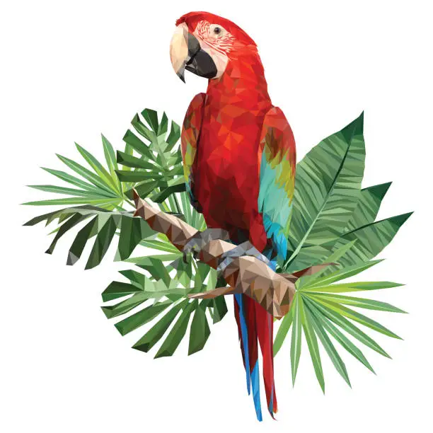Vector illustration of Illustration polygonal drawing of green wing macaw.