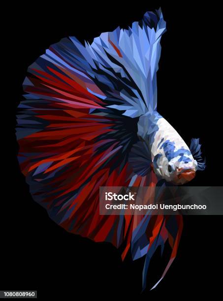 Polygon Drawing Of Betta Illustation Stock Illustration - Download Image Now - Siamese Fighting Fish, Black Color, Butterfly - Insect