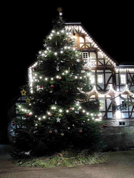 istock Christmas tree with half-timbered house in the background 1080816396