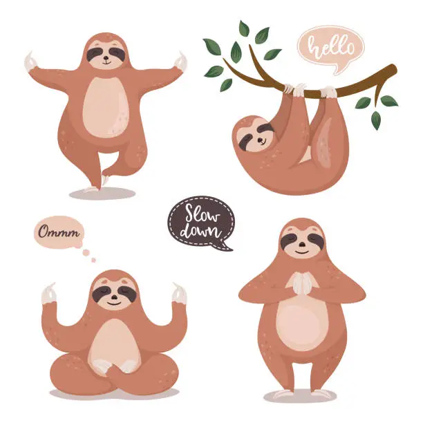 Vector illustration of Set of cute sloths hanging on the tree and do yoga. Cartoon funny sloth collection. Vector clipart