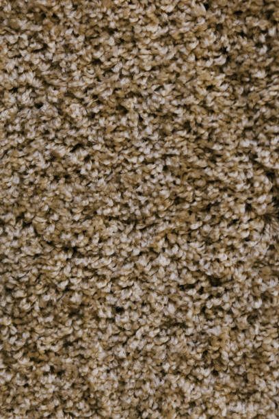 istock the fluffy texture of the carpet. background for design 1080834918