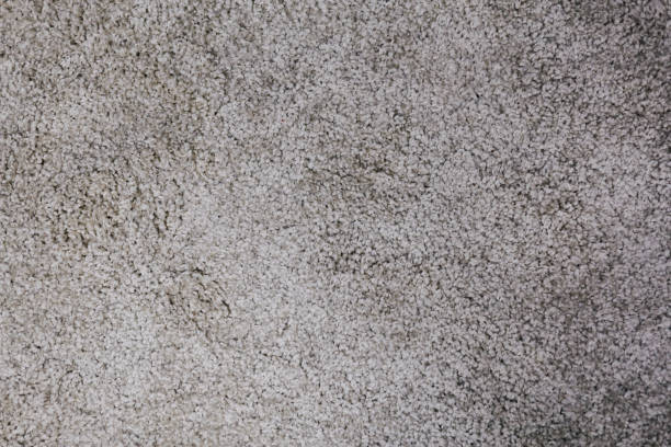 istock the fluffy texture of the carpet. background for design 1080835464